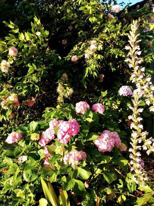 Holiday home Garden Of Eden Boutique And Doonside