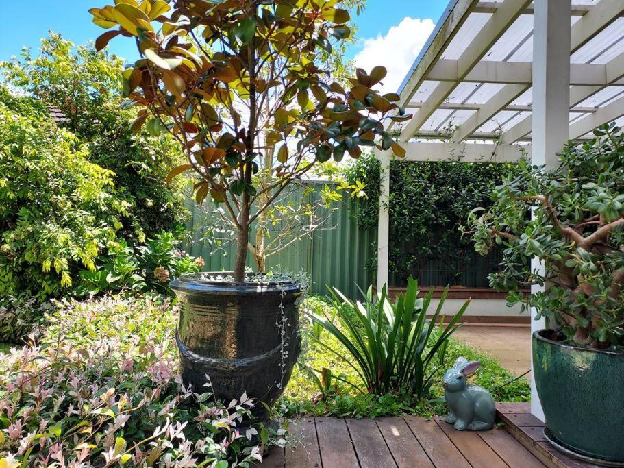 Garden Of Eden Boutique And Holiday home