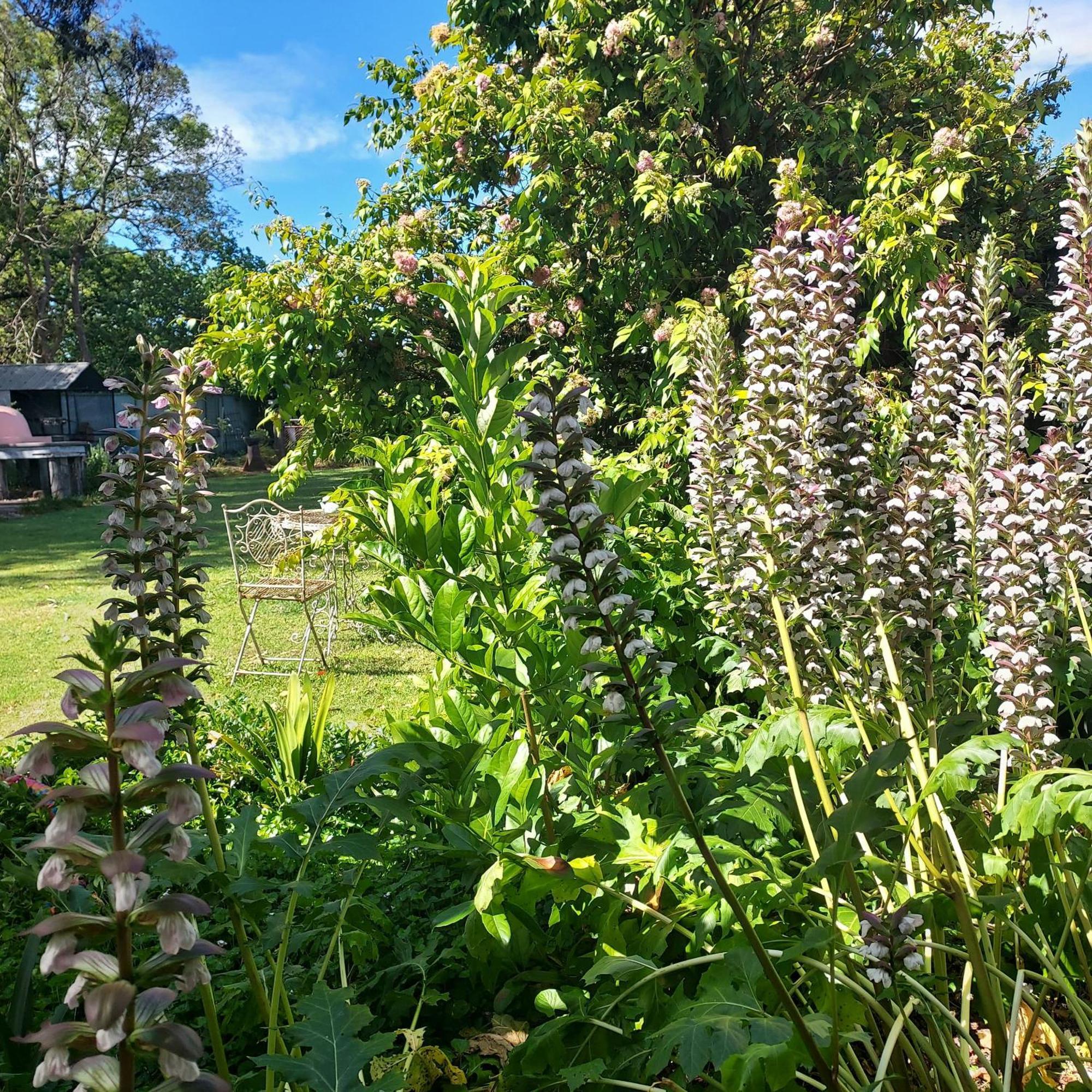 Garden Of Eden Boutique And Holiday home