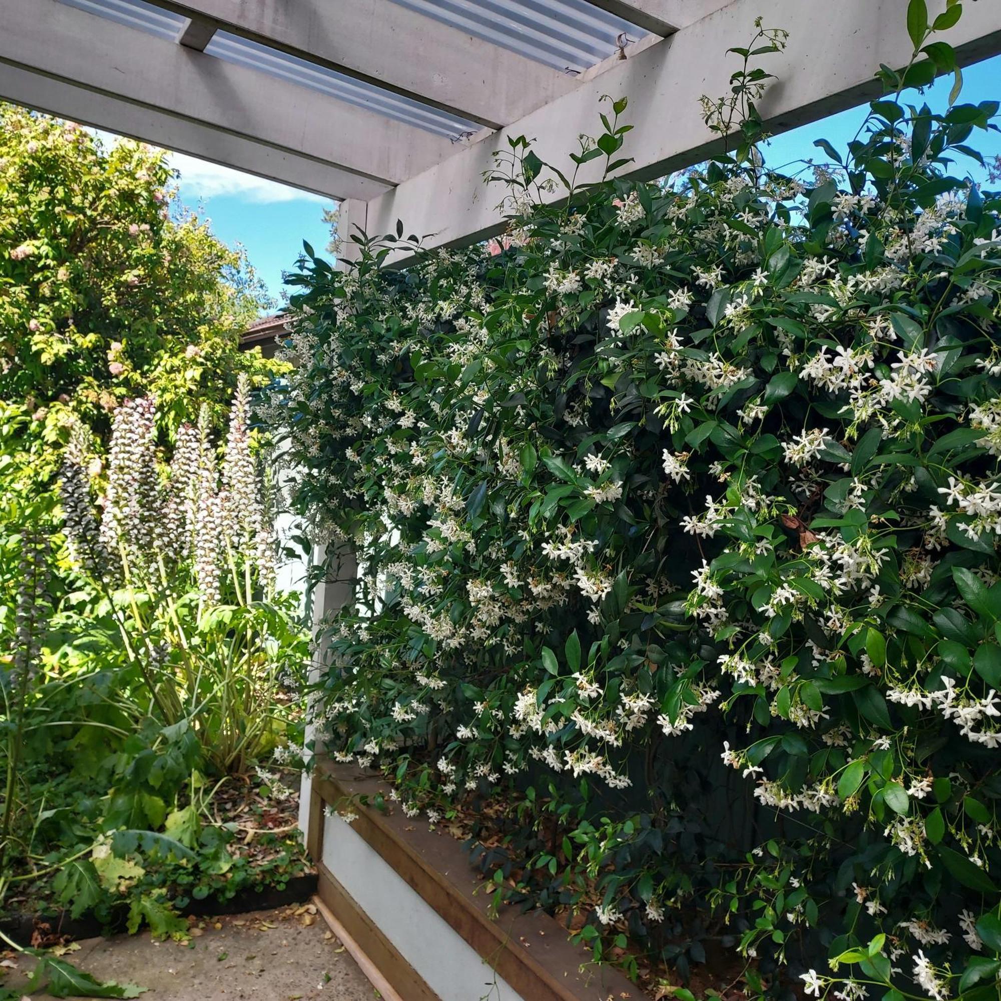 Garden Of Eden Boutique And Doonside